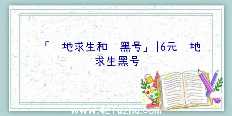 「绝地求生和谐黑号」|6元绝地求生黑号